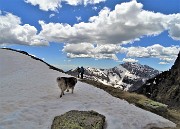 Primavera al Monte Campo, neve al Laghetto di Pietra Quadra -20magg21 - FOTOGALLERY